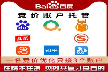 SEM代运营机构案例分析：优化策略详解